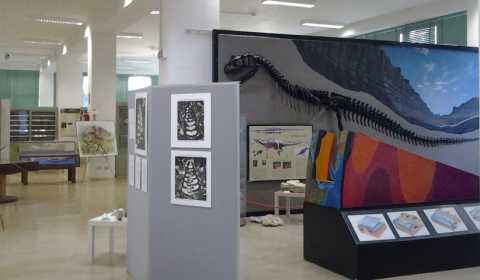 Bari, apertura straordinaria dei musei scientifici del Campus universitario